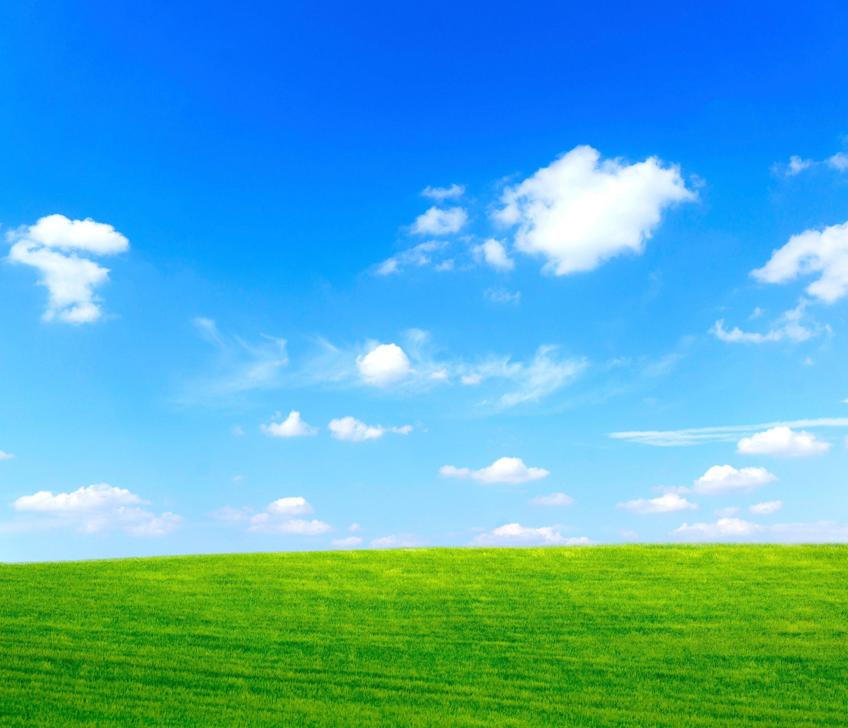 Grass And Sky